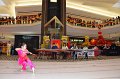 1.29.2017 (1630) - The 14th Annual Lunar New Year Celebration at Fair Oaks Mall, Virginia (5)